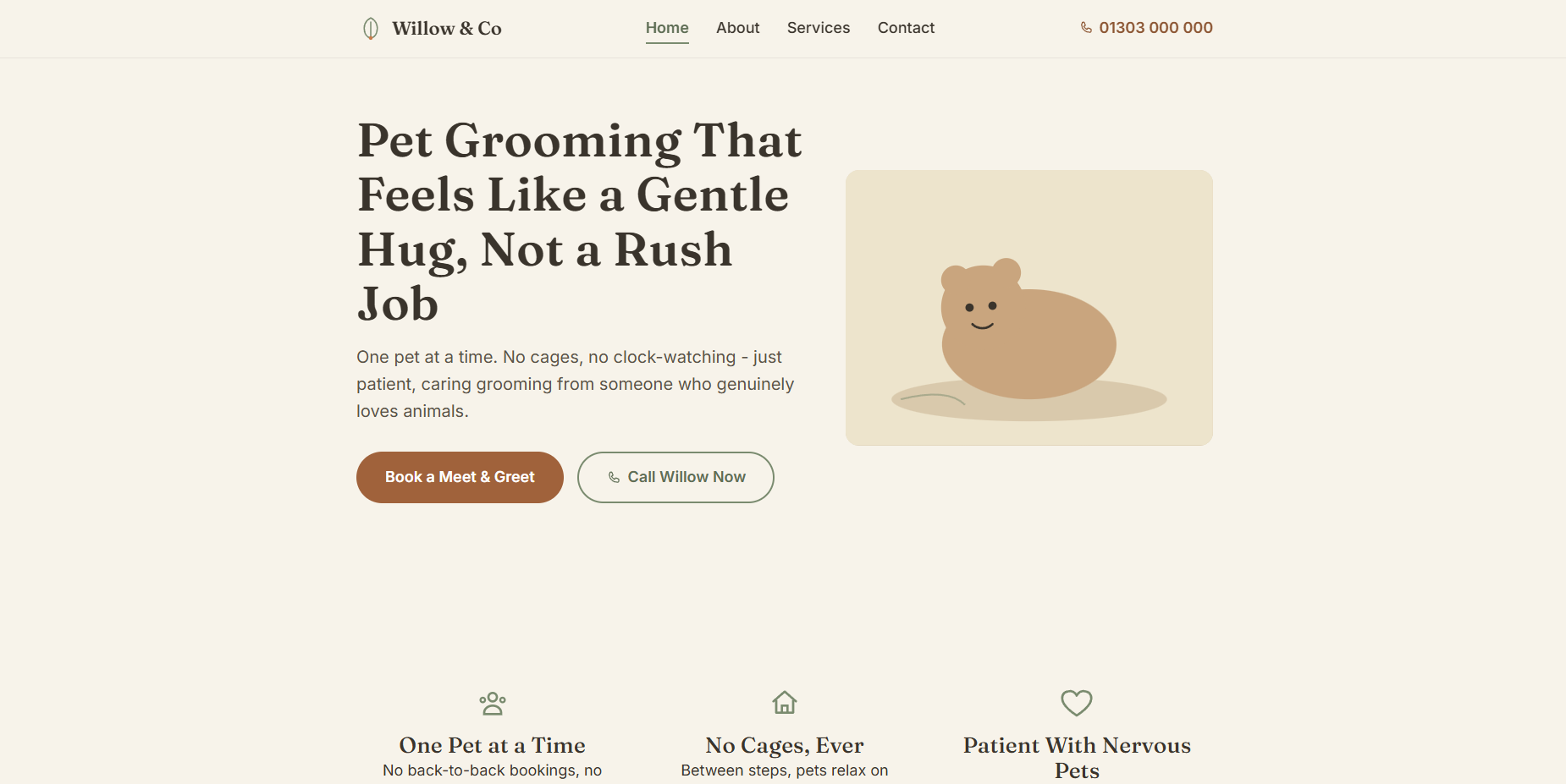 Willow & Co. homepage preview